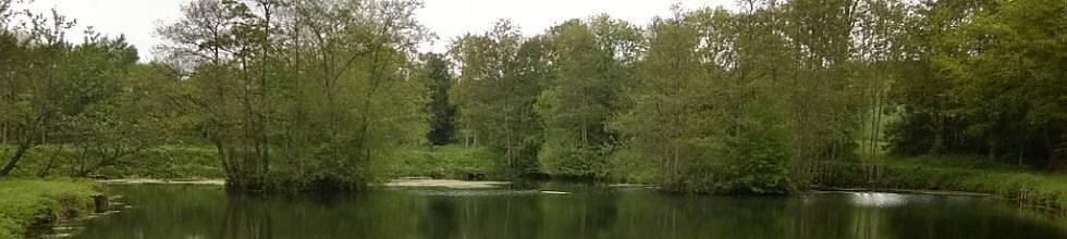 Stearsby bottom lake